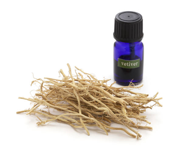 Napiers Vetivert Essential Oil