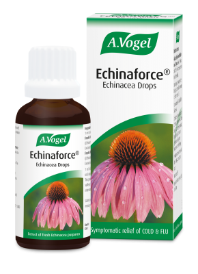 Echinaforce Drops 15ml (Echinacea)