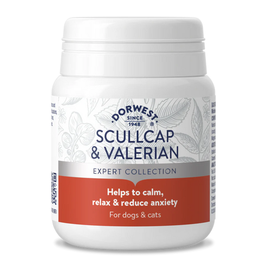 Dorwest Skullcap & Valerian Tablets for Dogs and Cats 200 tablets